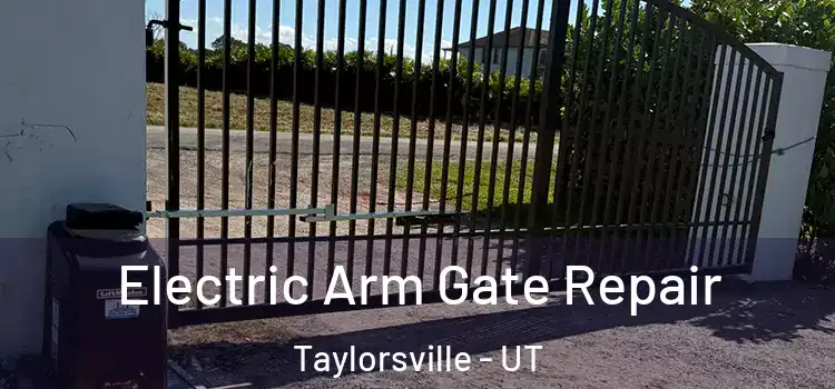 Electric Arm Gate Repair Taylorsville - UT