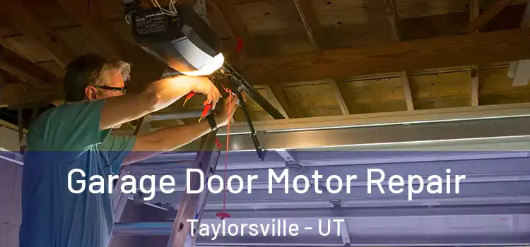  Garage Door Motor Repair Taylorsville - UT