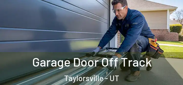  Garage Door Off Track Taylorsville - UT