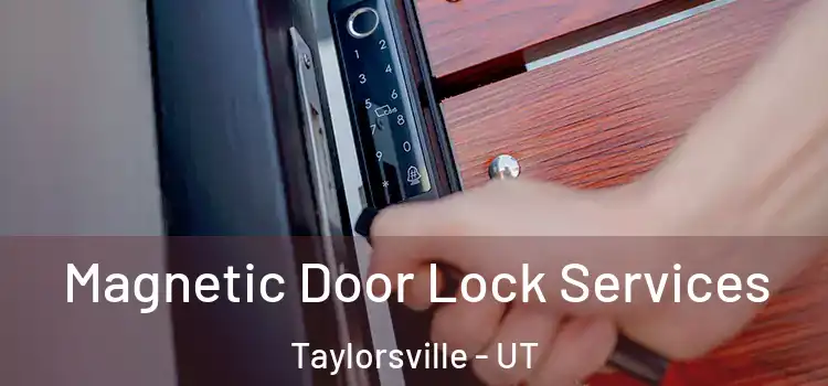 Magnetic Door Lock Services Taylorsville - UT